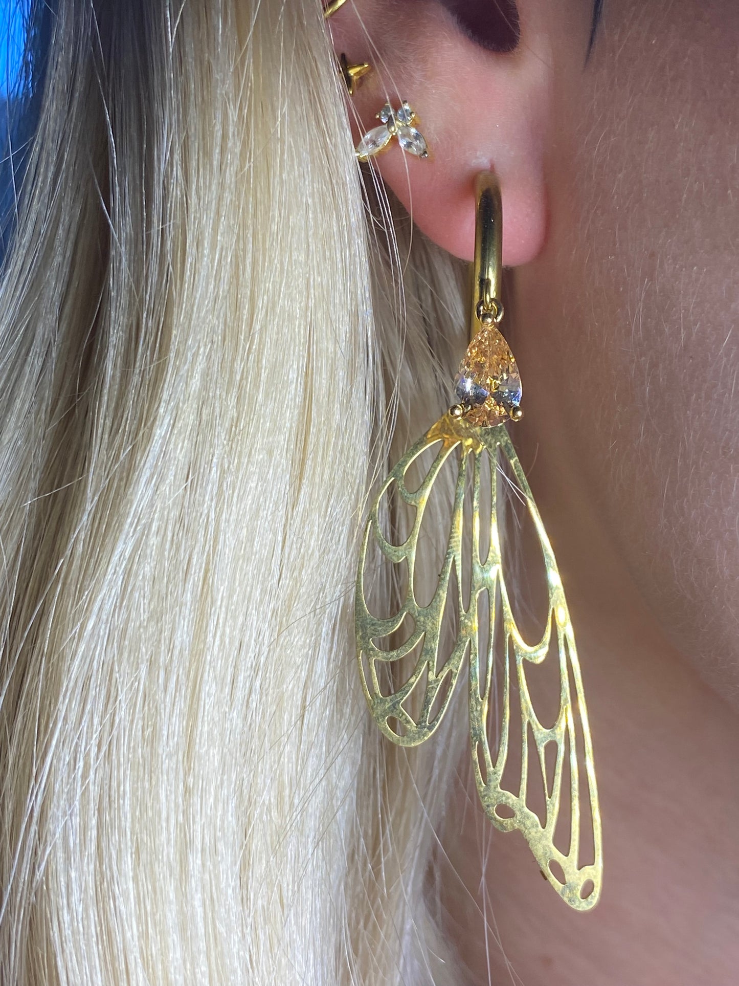 Fairywings